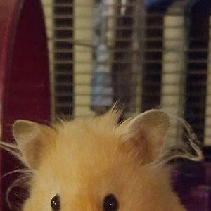 Meet your Posher, Miyuki